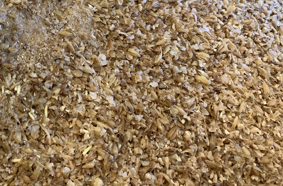 Revalorisation des drêches